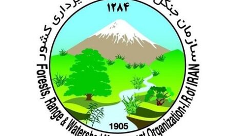 دانلود سوالات تخصصی مصاحبه کارشناس جنگل و مرتع