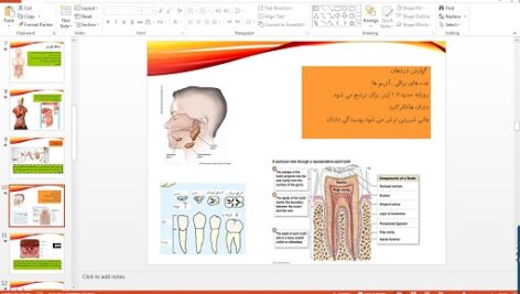 پاورپوینت فصل سیزدهم علوم تجربی پایه هفتم سفر غذا