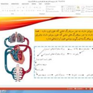پاورپوینت فصل چهاردهم علوم تجربی پایه هفتم گردش مواد