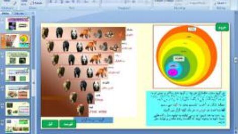 پاورپوینت فصل یازدهم علوم تجربی پایه نهم گوناگونی جانداران