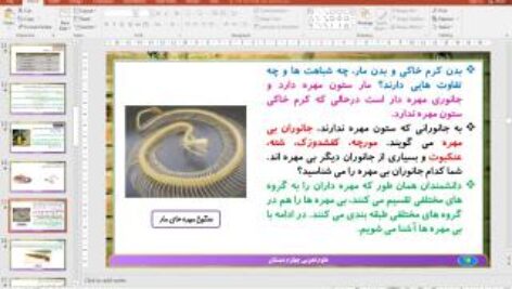پاورپوینت درس 11 علوم تجربی پایه چهارم دبستان (ابتدایی): بی‌ مهره‌ ها