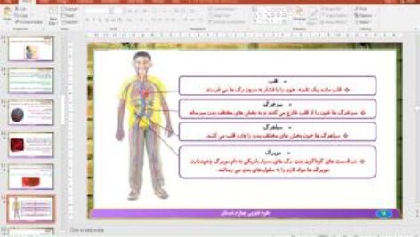 پاورپوینت درس 10 علوم تجربی پایه چهارم دبستان (ابتدایی): بدن ما (2)
