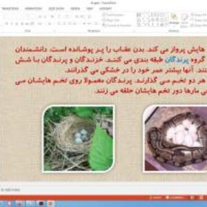 پاورپوینت درس 13 علوم تجربی پایه سوم دبستان (ابتدایی): هر کدام جاي خود (2)