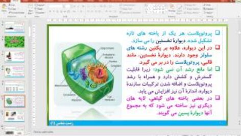 پاورپوینت فصل 6 زیست شناسی دهم تجربی: (از یاخته تا گیاه)