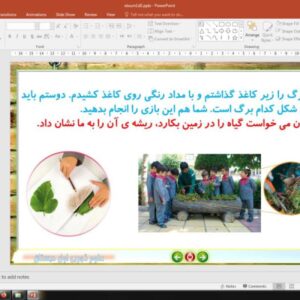پاورپوینت درس 5 علوم تجربی پایه اول دبستان (ابتدائی): دنیای گیاهان