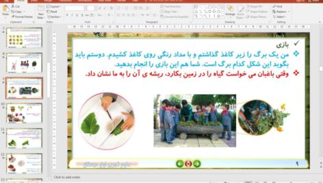 پاورپوینت درس 5 علوم تجربی پایه اول دبستان (ابتدائی): دنیای گیاهان