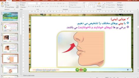 پاورپوینت درس 2 علوم تجربی پایه اول دبستان (ابتدائی): سلام، به من نگاه کن
