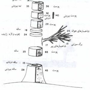 روشهای بیوژئوشیمیایی و ژئوبوتانی در اکتشافات ژئوشیمیایی