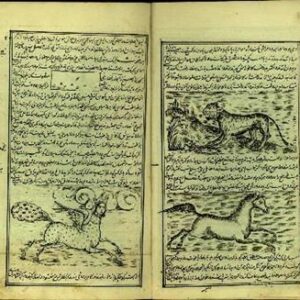 دانلود کتاب نایاب منافع الحیوان