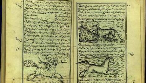 دانلود کتاب نایاب منافع الحیوان