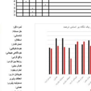 فایل اکسل هوش هیجانی بار آن