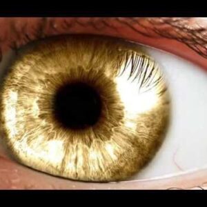 پکیج سابلیمینال ( تغییر رنگ چشم طلایی)