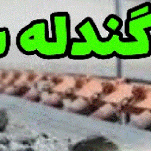 پروژه گندله سازی