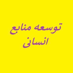 پاورپوینت آموزش توسعه منابع انسانی و توانمندسازی کارکنان