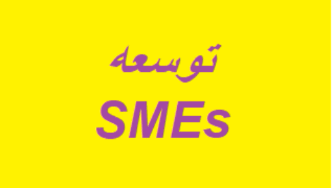 پرسشنامه توسعه کسب و کارهای کوچک و متوسط