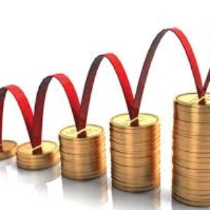 تحقیق درباره سيستم آمارهای مالی دولت GFS