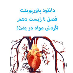 دانلود پاورپوینت فصل ۴ زیست دهم(گردش مواد در بدن)