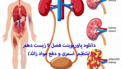 دانلود پاورپوینت فصل 5 زیست دهم(تنظیم اسمزی و دفع مواد زائد)