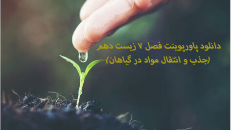 دانلود پاورپوینت فصل 7 زیست دهم(جذب و انتقال مواد در گیاهان)