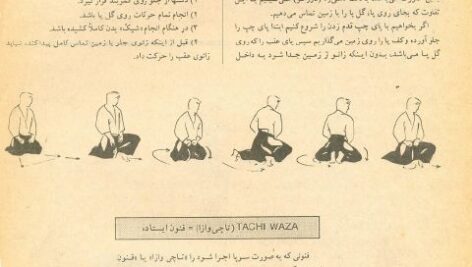 دانلود کتاب آموزش ایکیدو همراه با تصاویر