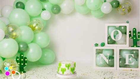 بک دراپ تولد تم کاکتوس-کد 2459