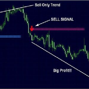 پکیج  ربات اکسپرت  عقاب فارکس