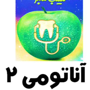 سیب سبز آناتومی 2