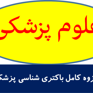 جزوه کامل باکتری شناسی پزشکی
