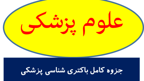 جزوه کامل باکتری شناسی پزشکی