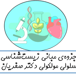 جزوه‌ی مبانی زیست‌شناسی سلولی مولکولی دکتر صفریان