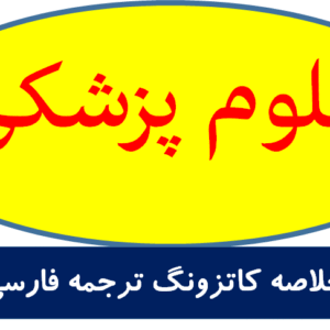 خلاصه کاتزونگ ترجمه فارسی