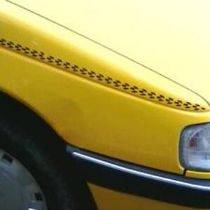 شطرنجی ریز جدید