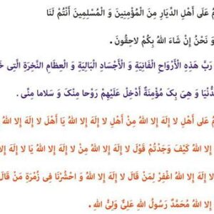 وکتور کورل 12 زیارت اهل قبور
