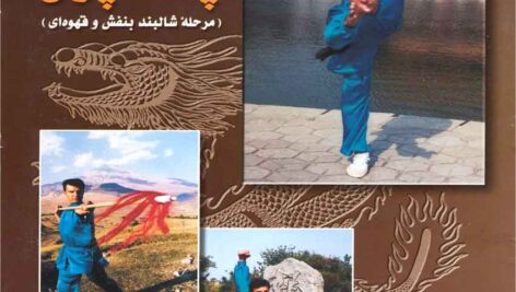 تکنیک های بین المللی چانگ چوان جلد 2