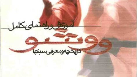 آموزش کامل ووشو