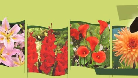 جزوه درسی باغبانی عمومی (پاورپوینت 269 اسلاید)