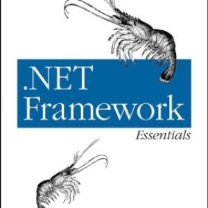 .Net Framework Essentials