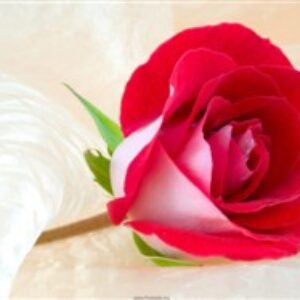 یادگیری حروف الفبای کره ای