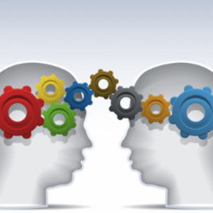 1 نقش مدیریت دانش در بهره وری نیروی انسانی (مورد مطالعه: سازمان زیباسازی شهر تهران)(تعدادصفحات:11)